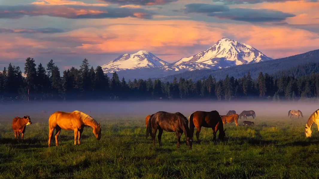 Black Butte Ranch