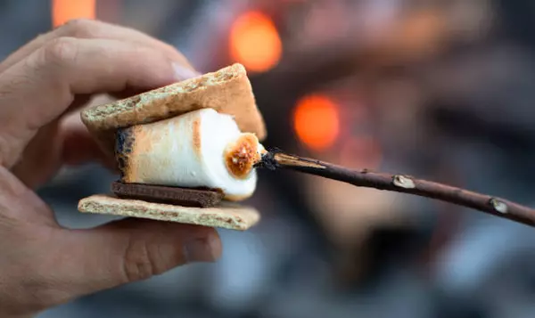 feature image of 5 Fall Recipes: Warm, Autumn Magic to Your Table
