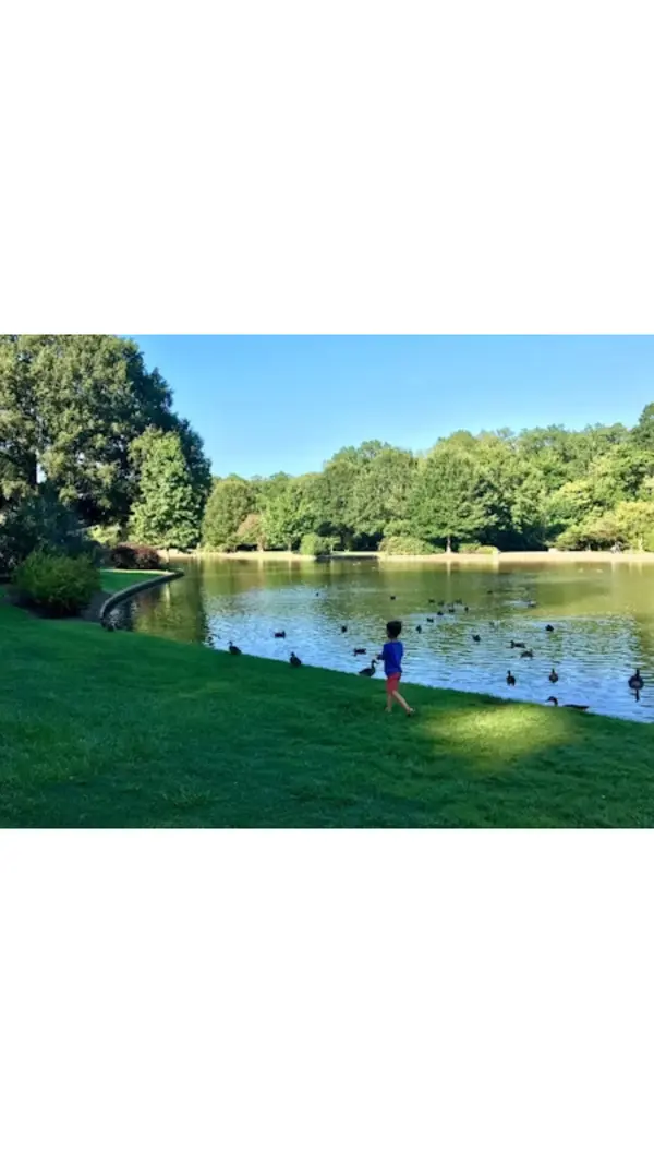 What's the difference between a lakefront home and a lake-access property at Lake Norman?,MICHELE WEAVER