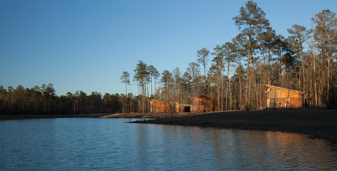 Lake Houston Wilderness Park near New Caney TX with hiking trails, trees, and water access