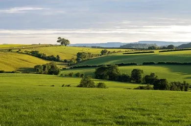 Rolling pastureland in North Texas ideal for luxury ranch and estate homes