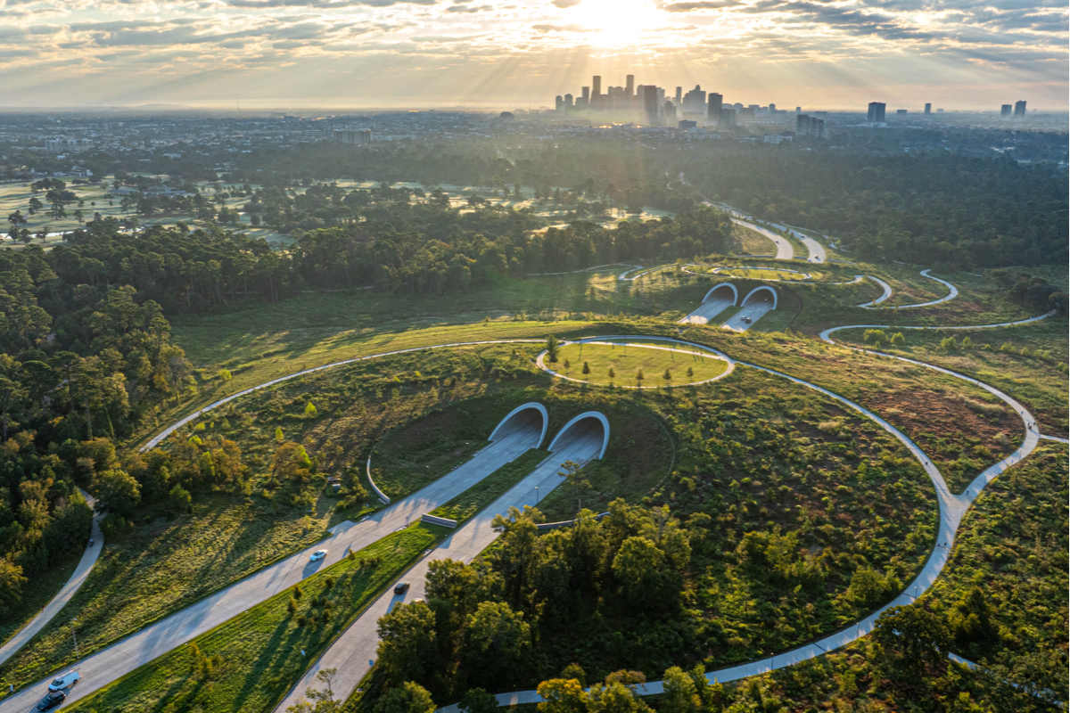 Running trails at Memorial Park Houston