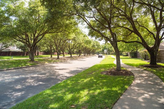 A welcoming street scene in an established Katy neighborhood (tree-lined street with sidewalks).