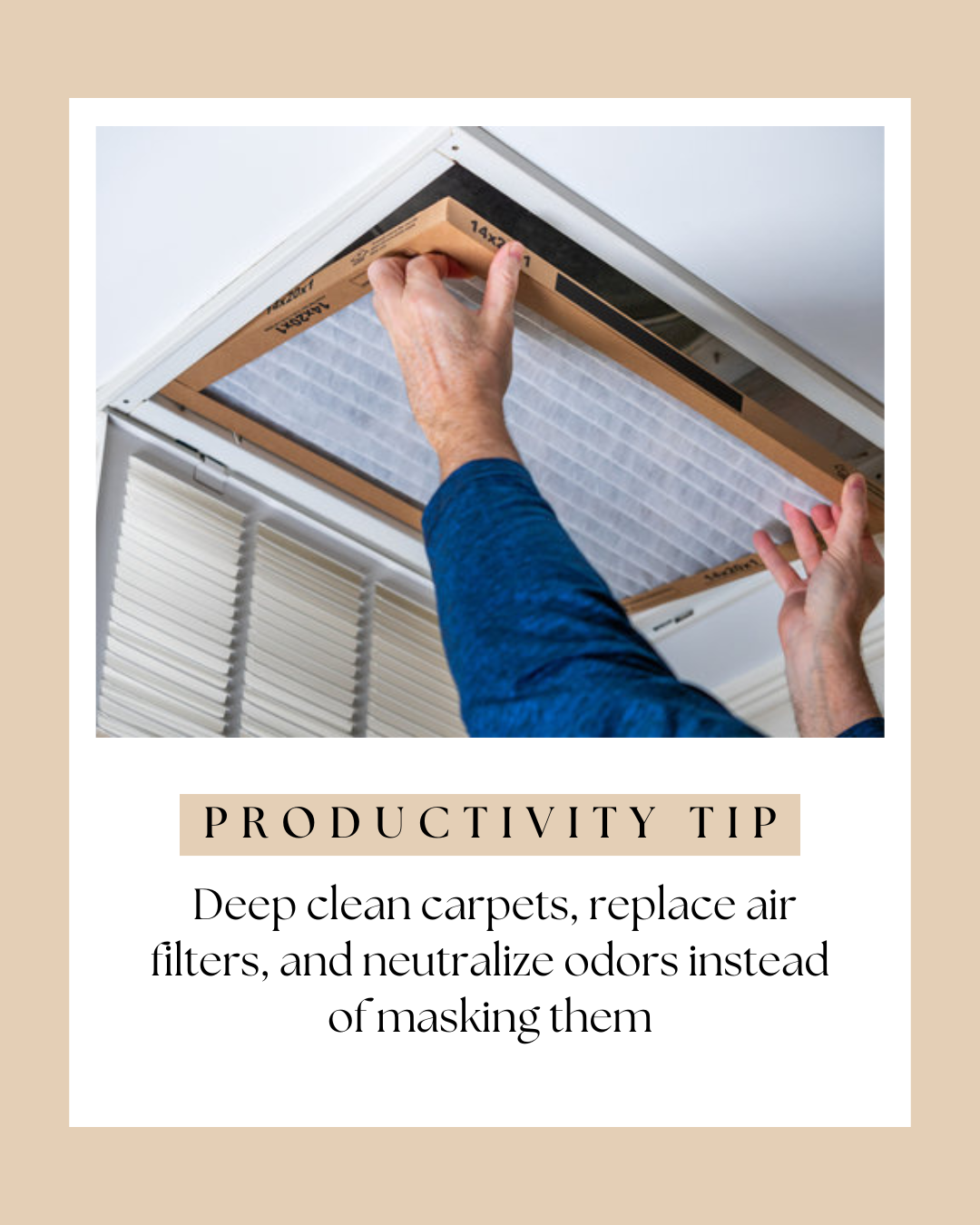Fresh clean home interior with natural light and open windows creating a neutral odor free environment