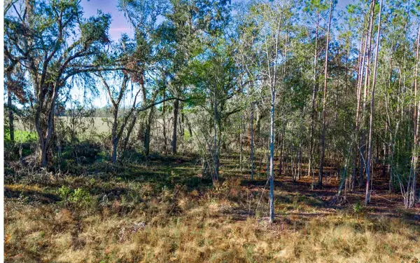 506 NW COACHWHIP AVE, Madison, FL 32340