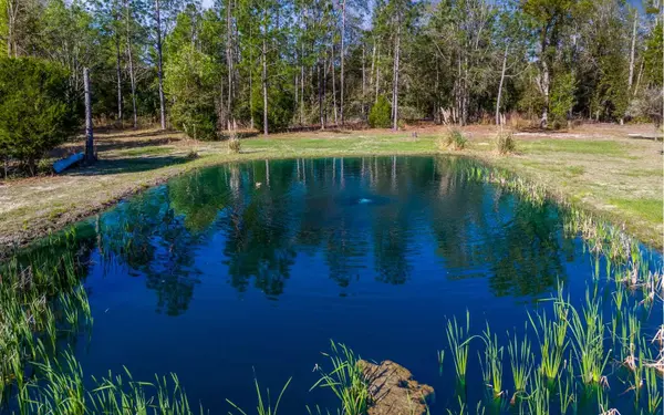 11001 225TH ROAD, Live Oak, FL 32060