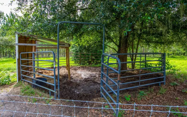 8604 ADAMS ROAD, Wellborn, FL 32094