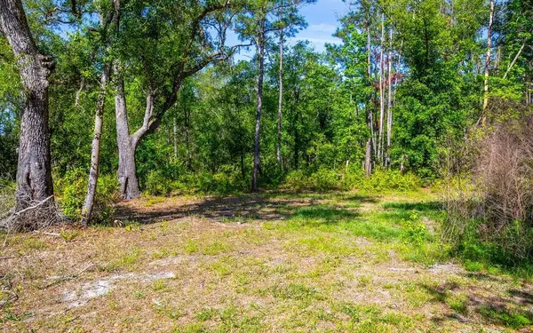 303 NW NULL RD, White Springs, FL 32096