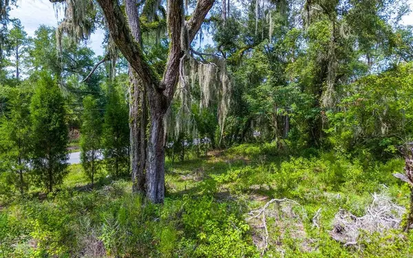1705 SW MLK DRIVE, Jasper, FL 32052