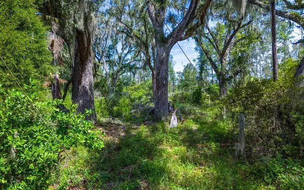 1705 SW MLK DRIVE, Jasper, FL 32052