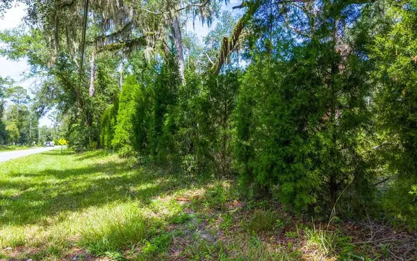 1705 SW MLK DRIVE, Jasper, FL 32052