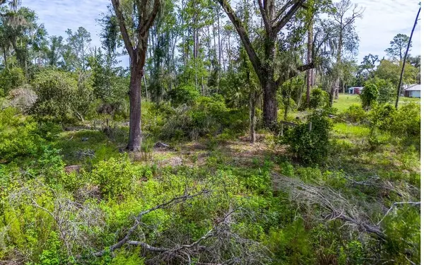 1705 SW MLK DRIVE, Jasper, FL 32052