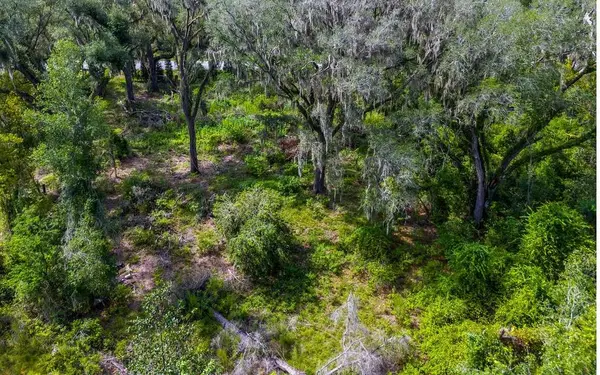 1705 SW MLK DRIVE, Jasper, FL 32052