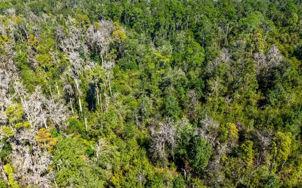 000 SE CR 135, Jasper, FL 32052
