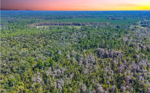 000 SE CR 135, Jasper, FL 32052