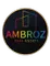 Ambroz Real Estate Logo (1)
