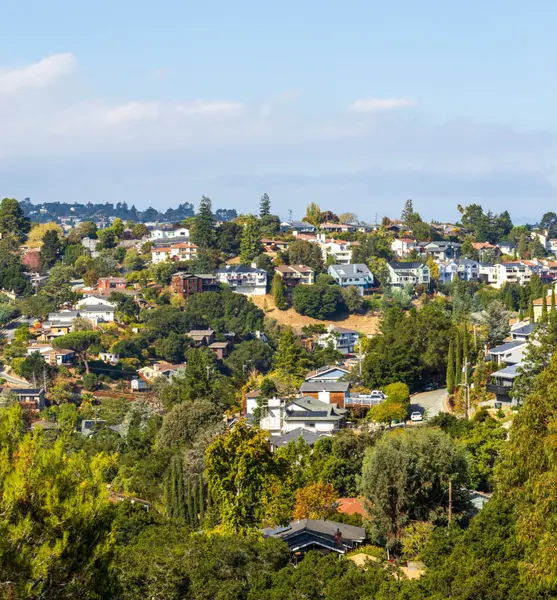 Belmont