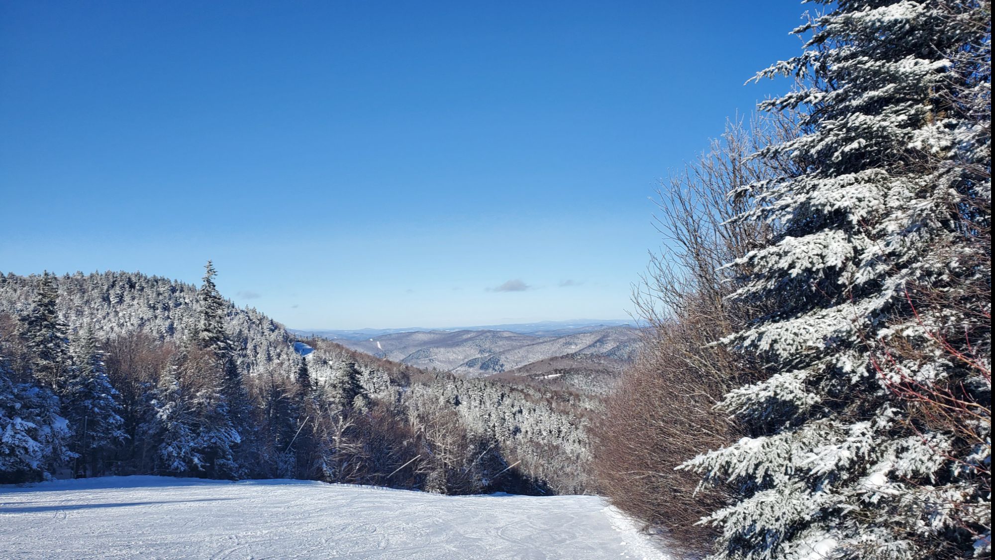 blog banner