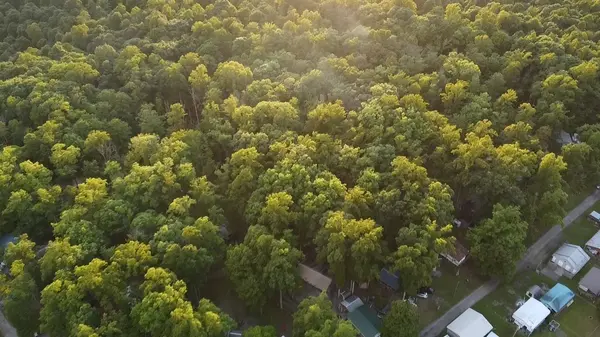 dji_fly_20240803_195717_0_1722729437377_photo_low_quality