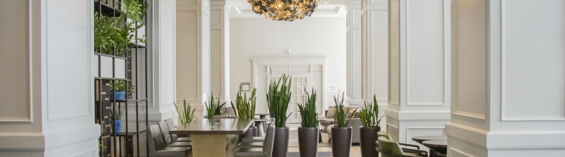Staged Halifax living room with neutral decor and bright natural lighting.