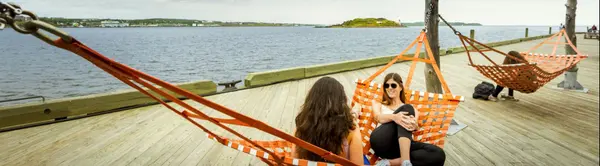 The Best Areas to Live for Young Professionals in Halifax (2025 Guide),Tom Moore