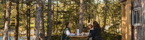 Halifax Through the Seasons: What to Expect Year-Round