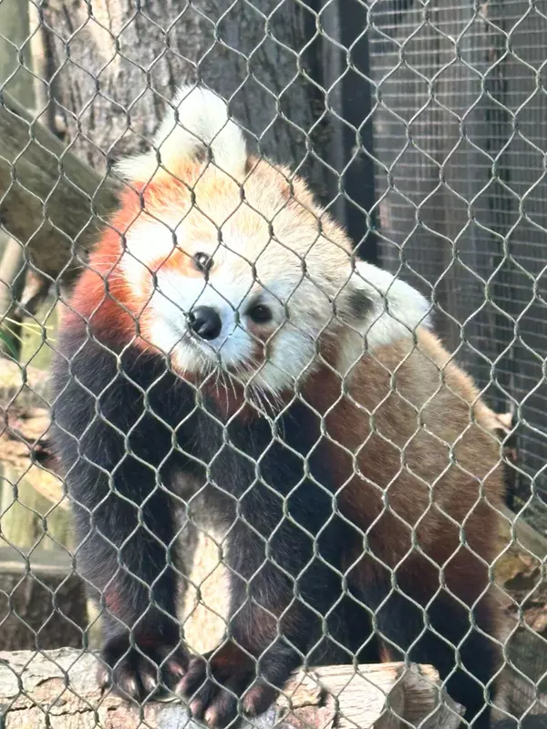 The Top 5 Parks in New Bedford to Explore This Summer,Donald Wagnon