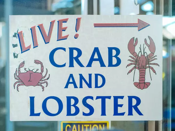 Top 8 Seafood Spots in the Area