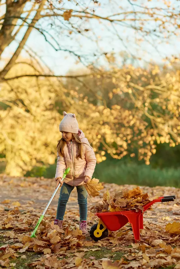 10 Fall Home Maintenance Tips Every New Bedford Homeowner Should Tackle