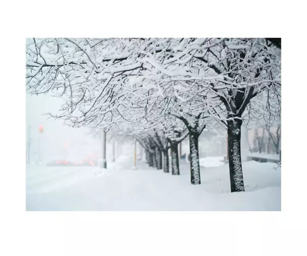 December Stats Are in and it's a Mixed Market