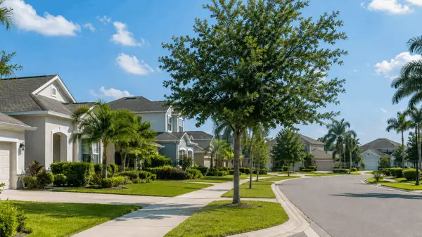 ¿Por qué tantas familias están mirando New Tampa, Wesley Chapel y Pasco County?