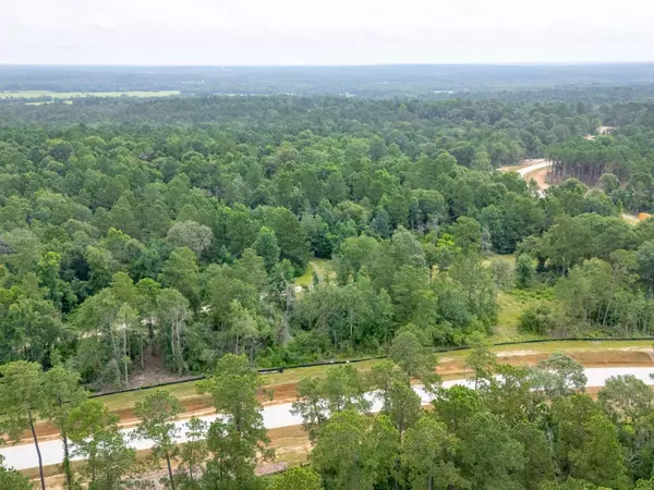 Lot 4, Block 7 Elmore Creek Dr, Willis, TX 77378