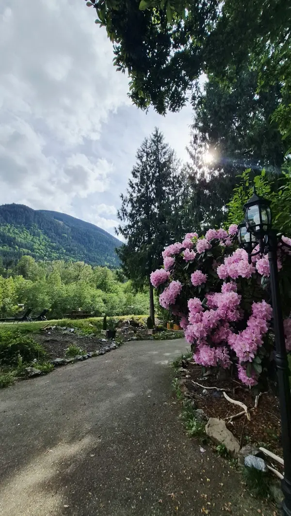 Why First Time Buyers and Move Up Buyers Should Visit Open Houses Before Buying in the Fraser Valley