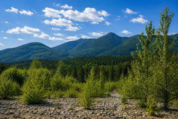 Living in Chilliwack in 2026 | Fraser Valley Lifestyle and Real Estate Guide |Tanya Maahs Real Estate