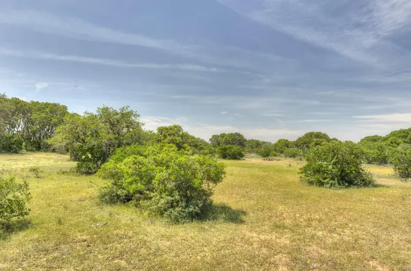 Dripping Springs Real Estate Market Update: Where Prices, Inventory & Days on Market Stand This Summer,Cheryl Fowlkes