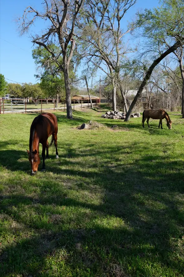 Driftwood, TX Area Spotlight: July 2026 Sales Update, Wineries & Acreage Estates,Cheryl Fowlkes