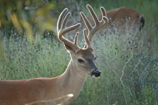Fall in Dripping Springs: The Best Season to Experience the Gateway to the Texas Hill Country