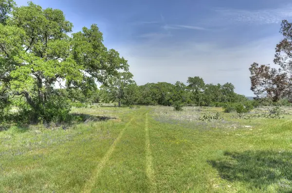 26808 Hamilton Pool Rd Austin-large-008-Center of Property  Great-1500x993-72dpi