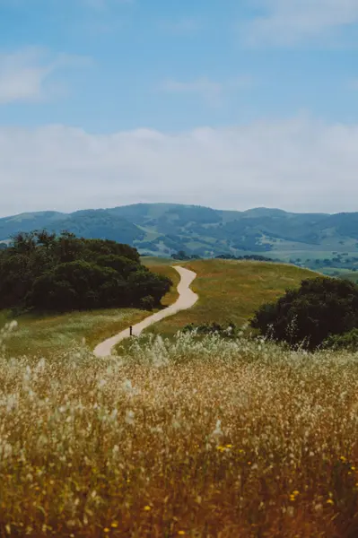 Petaluma