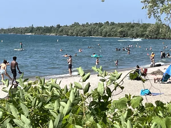 St. Catharines lakefront beach on a hot summer day with swimmers and paddle boarders.
