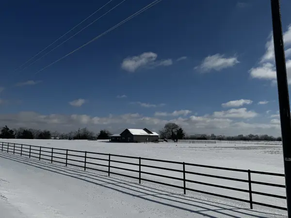 feature image of Winter Is the Best Time to Buy Land in Northeast Texas