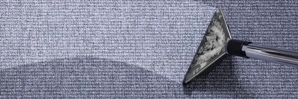 Clean It or Rip It Out? What Sellers Need to Know About Carpet Before Listing,Stacey McVey