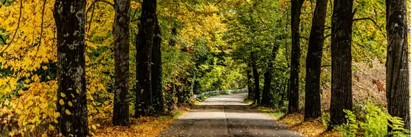 How to Sell and Buy at the Same Time Without Carrying Two Mortgages