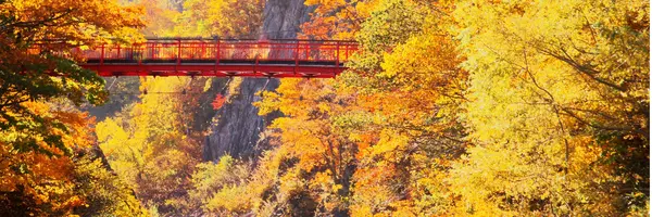 Are Home Prices Falling in Northeast Ohio? Here's What's Actually Happening This Fall,Stacey McVey