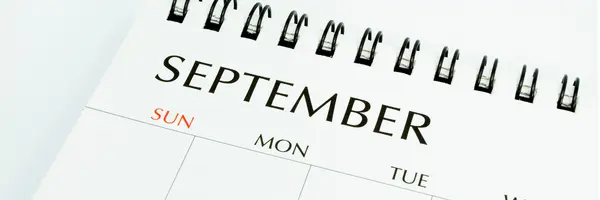 September Newsletter,Stacey McVey