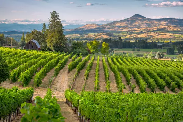 Southern Oregon Wine Country Real Estate