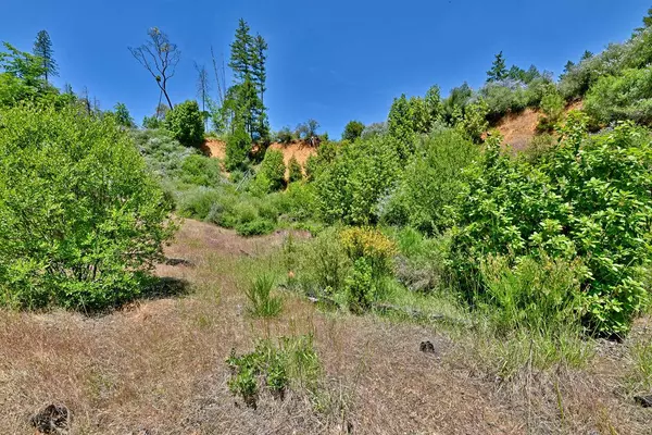 0 Lower Wolf Creek RD #400, Wolf Creek, OR 97497