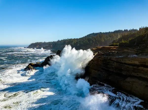 feature image of Why Coos Bay, Oregon Is a Wonderful Place to Live and Visit