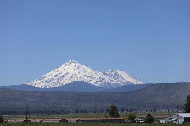 12338 Mt Rainier St photo 2
