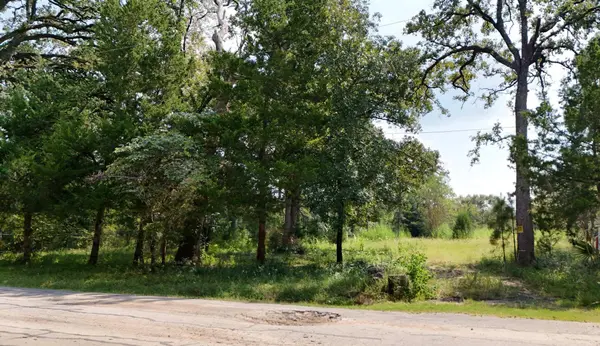 11679 Misty Glen LN, Willis, TX 77318